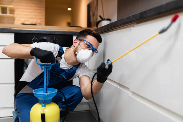 Best Wasp Removal Services  in Crivitz, WI