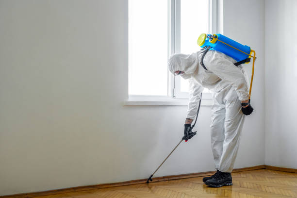 Best Flea Control Services  in Crivitz, WI