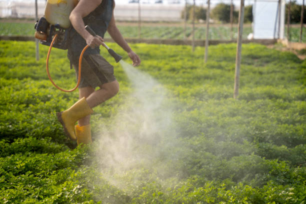Best Local Pest Control Services  in Crivitz, WI