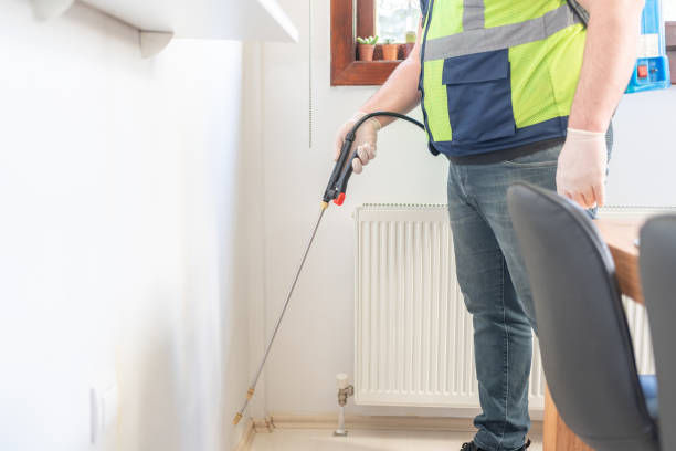 Best Termite Control Services  in Crivitz, WI